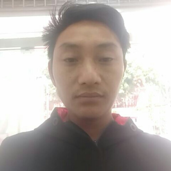 背后停止黄蜂的照片