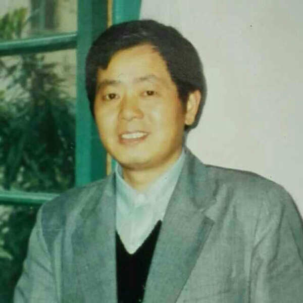 燕鹰的照片