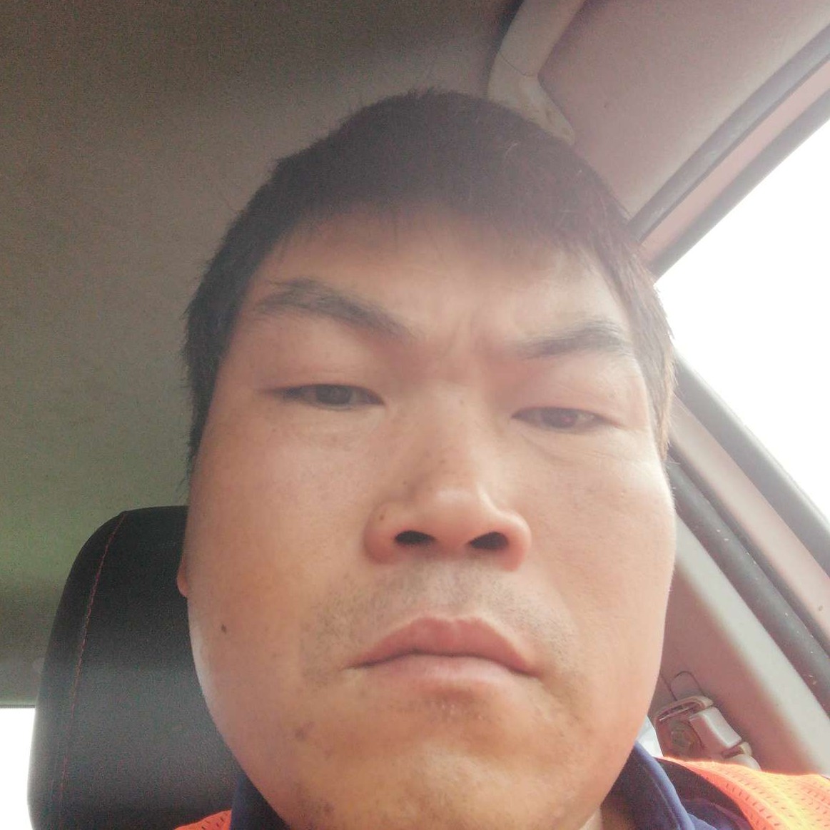 蘩藜迎虚拟的照片