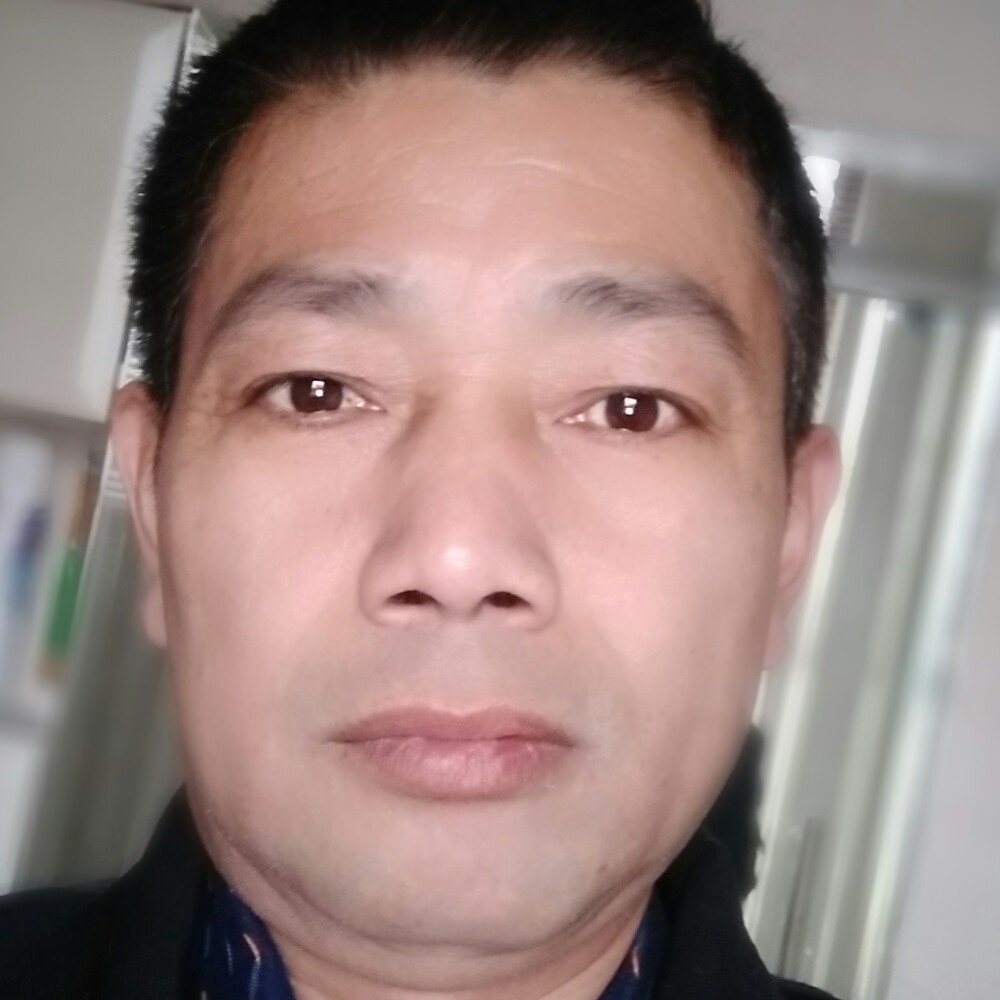 我们的荷花的照片