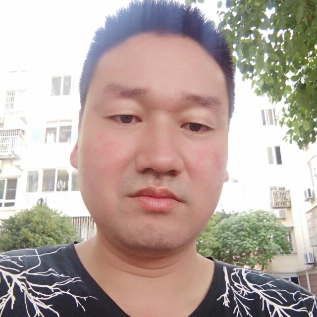 矫情大雁的照片