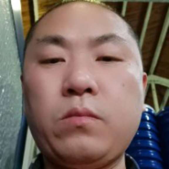 疯狂的小猫咪的照片