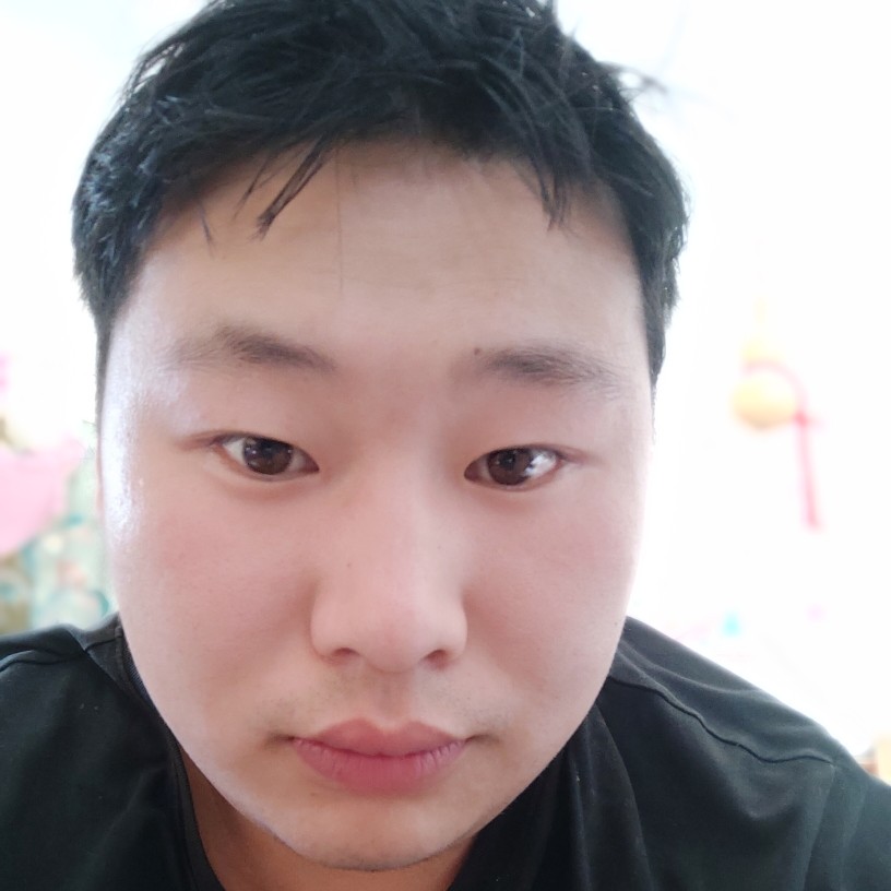 大雁有无心的照片