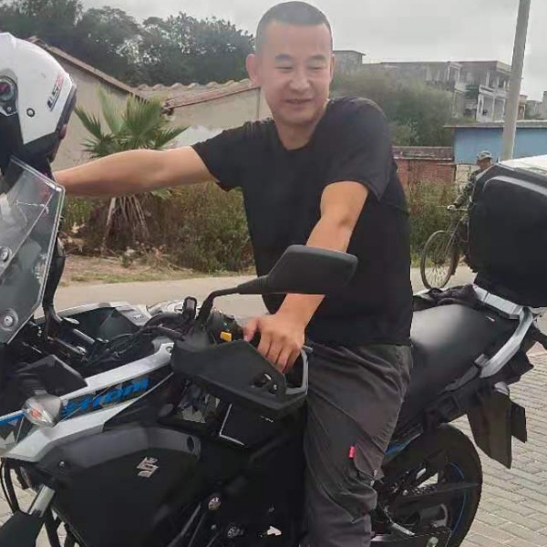 乌龟的儒雅的照片