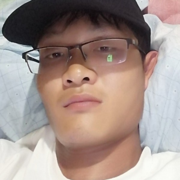 专注的小狼狗的照片