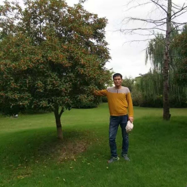 会员528323511的照片