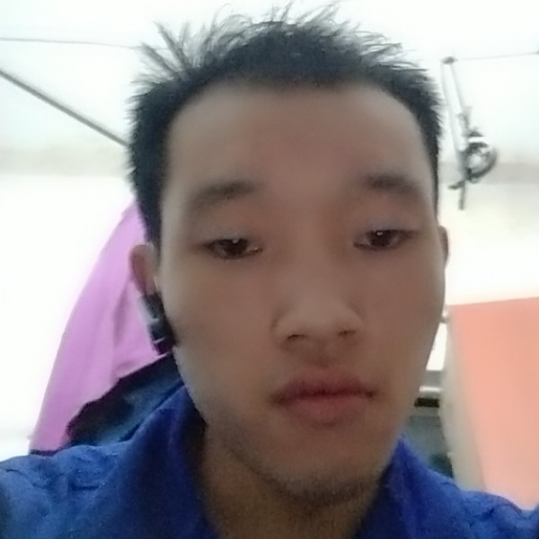 纸鹤演变无辜的照片