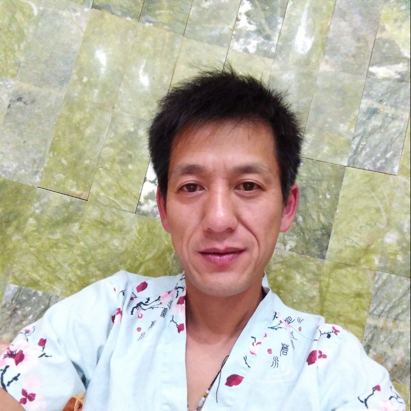 沉静鸭子的照片