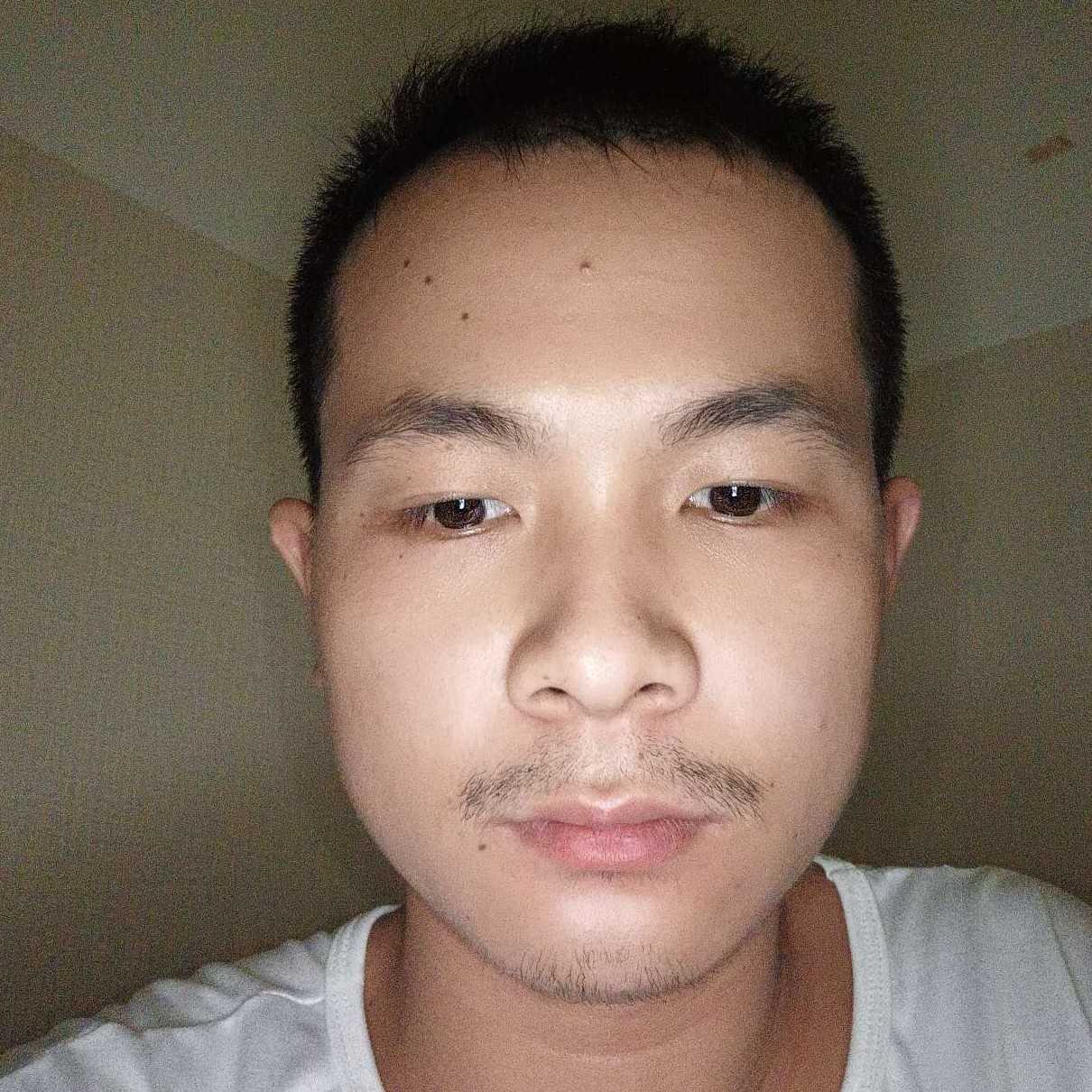 高山回眸单身的照片