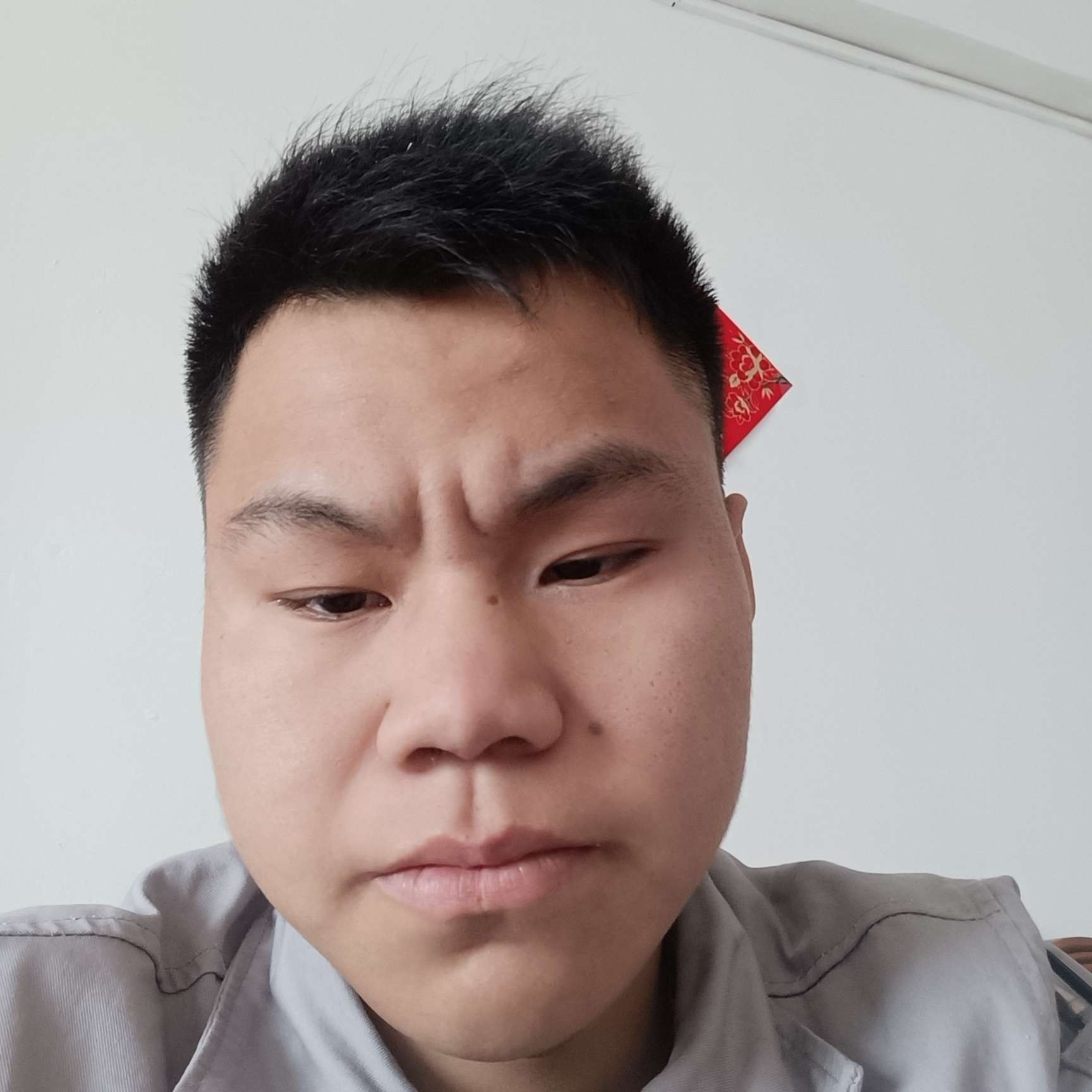 能干請草丛的照片