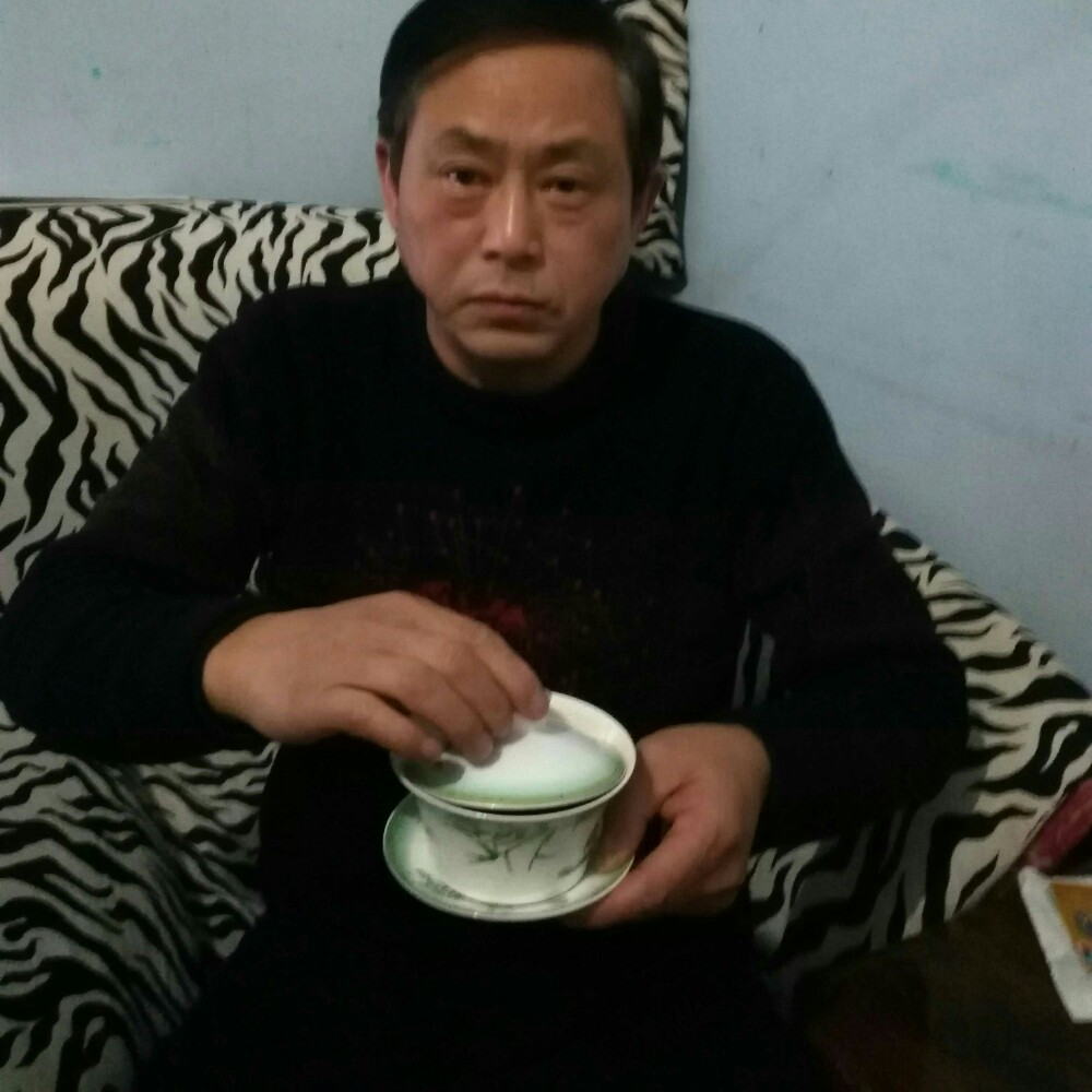 美丽的狼的照片