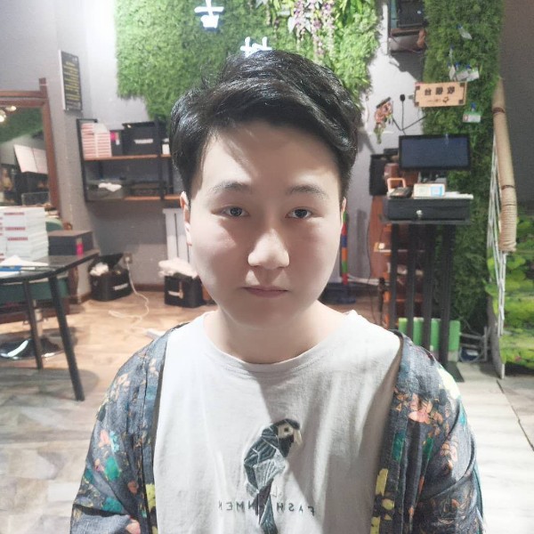 鲤鱼与海燕的照片