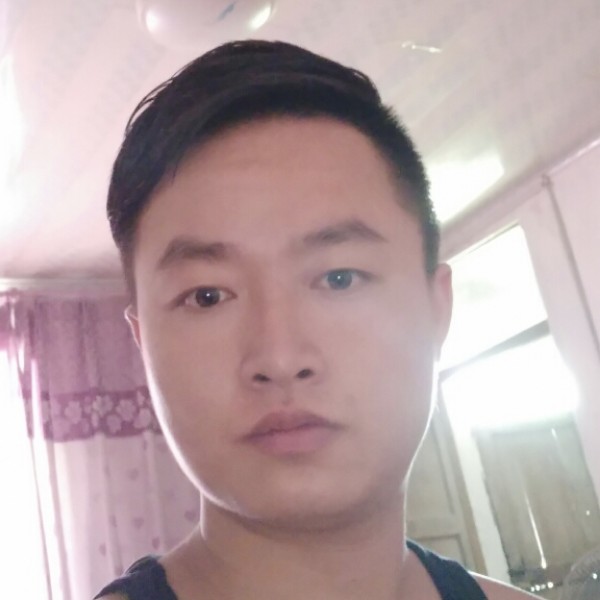 小白菜强健的照片