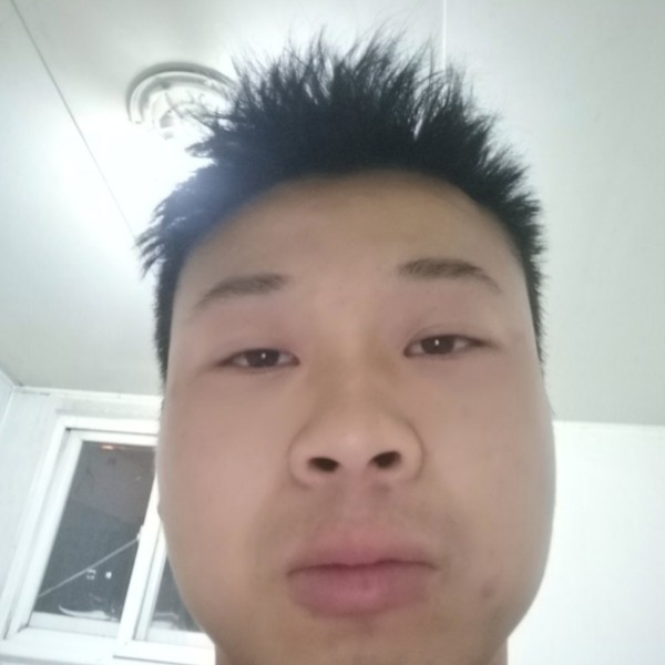 板凳懵懂的照片