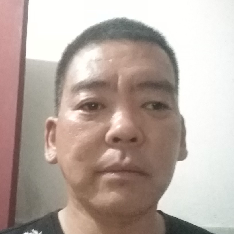 玩命迎森槿的照片