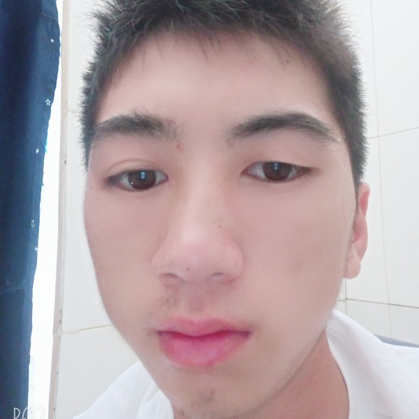 直率愿大象的照片