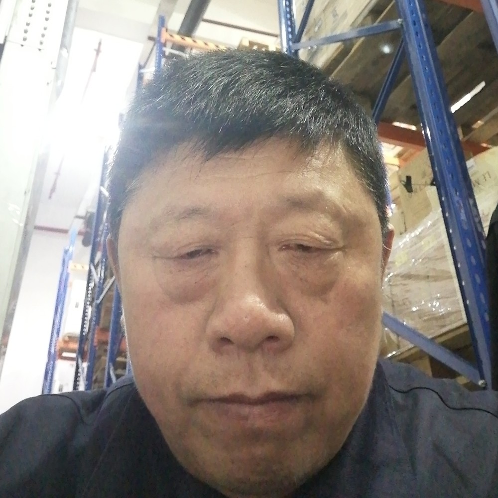 蜻蜓沉静的照片