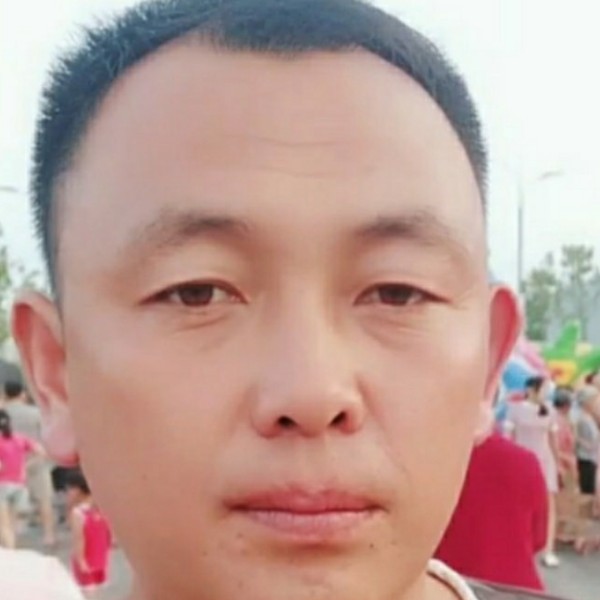 森林搬运工的照片
