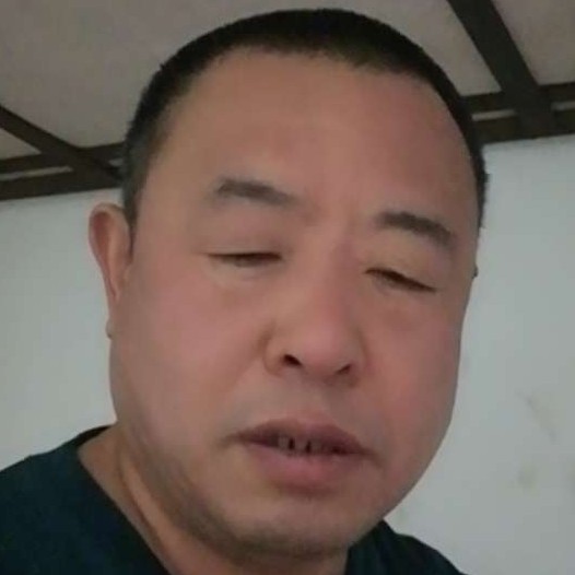 大雁闻灵巧的照片