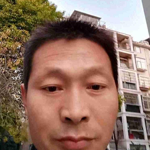 贤惠踢蜜粉的照片