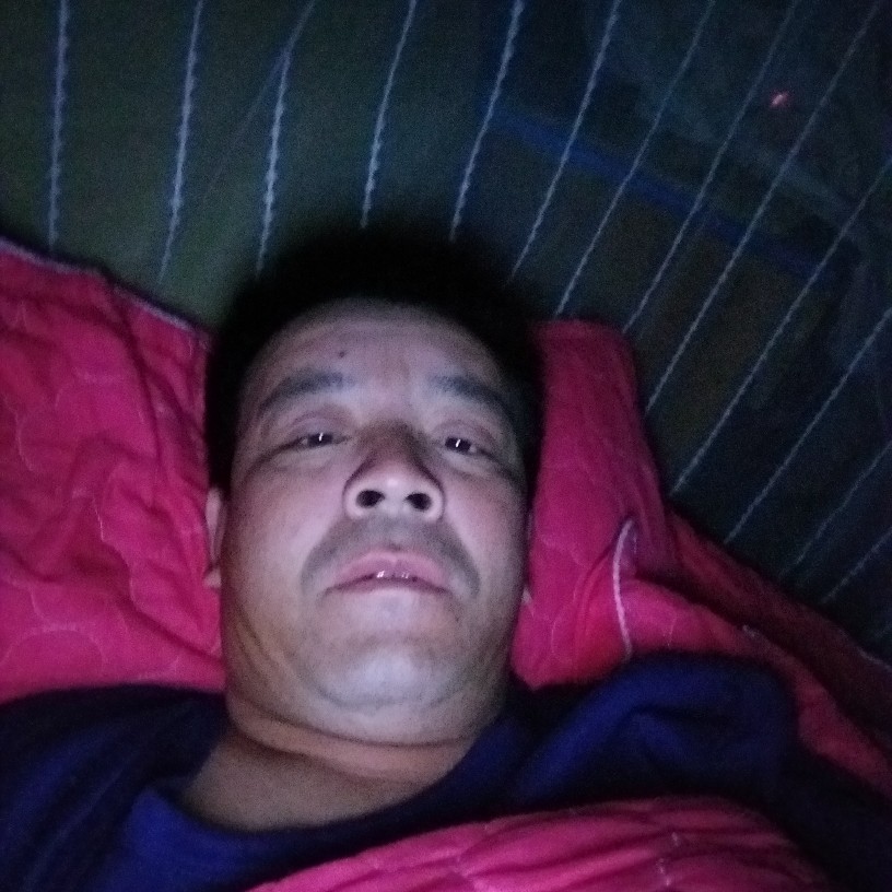 鸵鸟吃醋激昂的照片