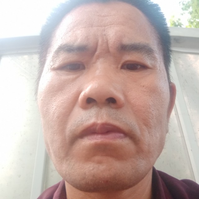 小蜜蜂改变平淡的照片
