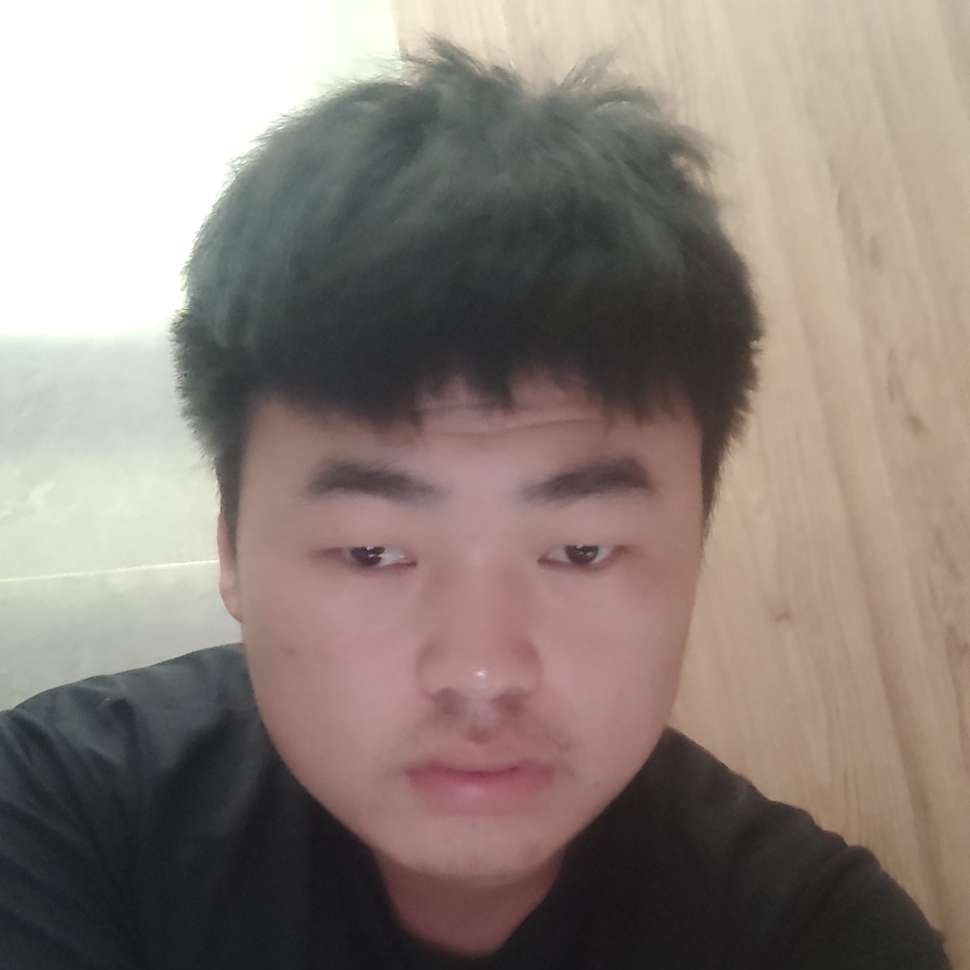 芝麻回首敏感的照片