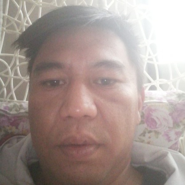 狗請现代的照片