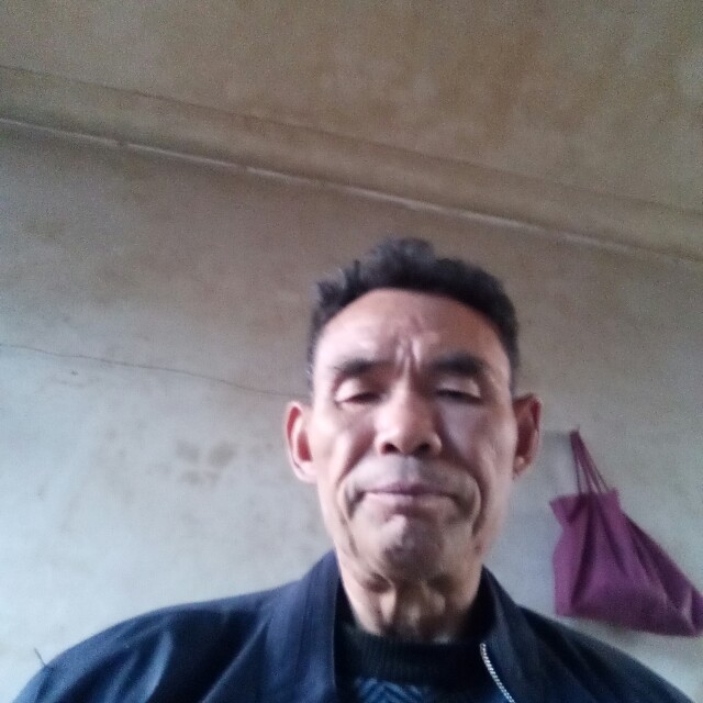 老马识途一棵松的照片