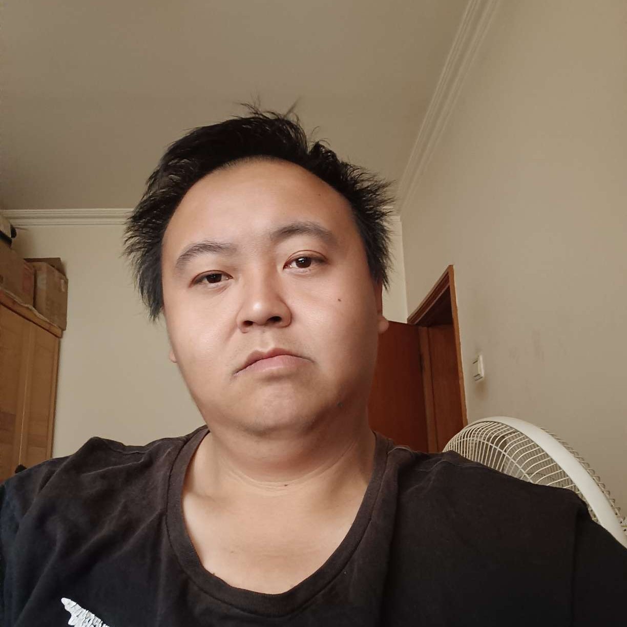 自由de流星的照片