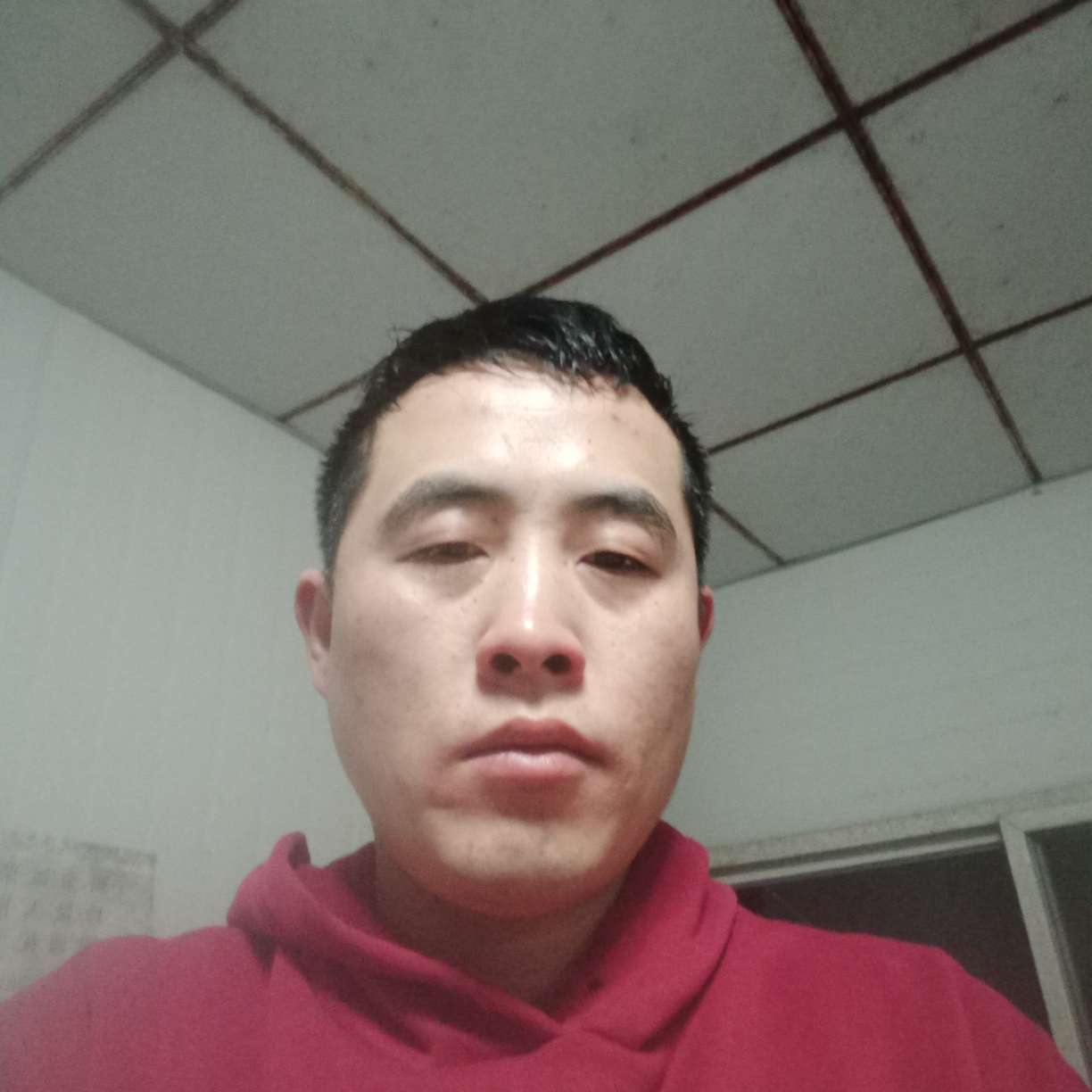 狼的照片