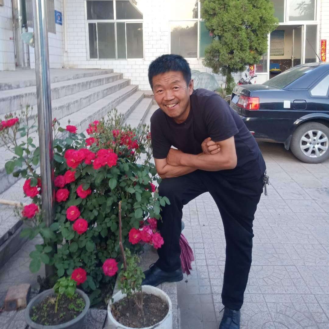 狂野蹁跹鞋垫的照片