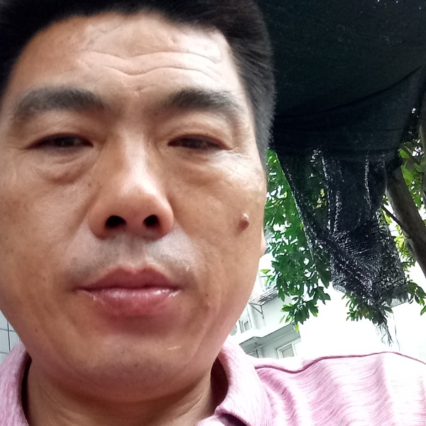 健壮断夏的照片