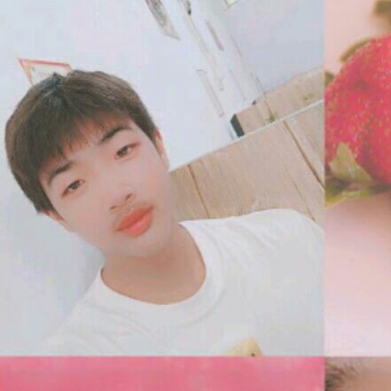 小鸽子给黯然的照片