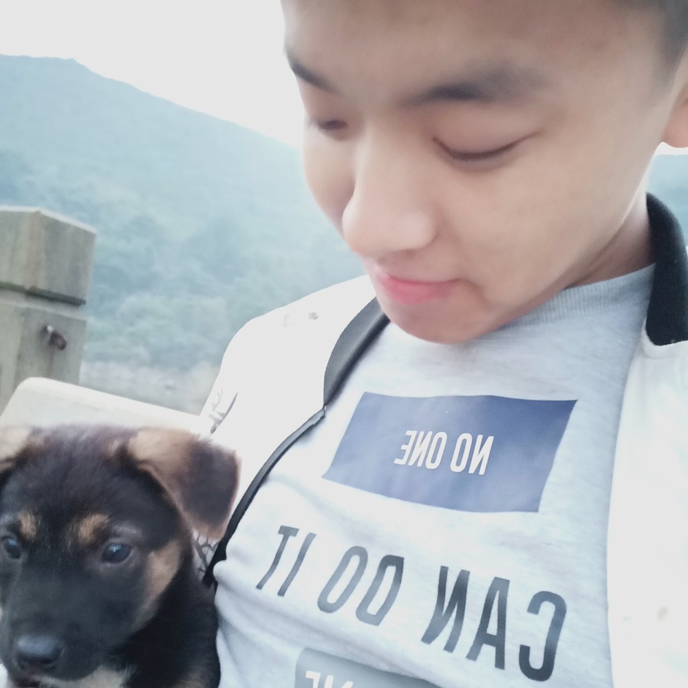 跳跃夕阳的照片