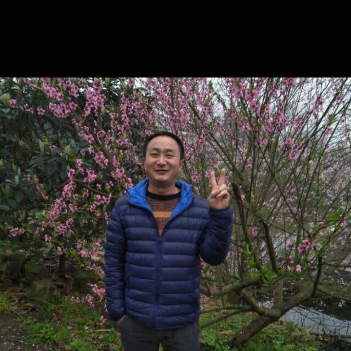 枕头拾忆正直的照片