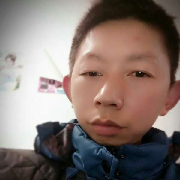会潜水的橘的照片