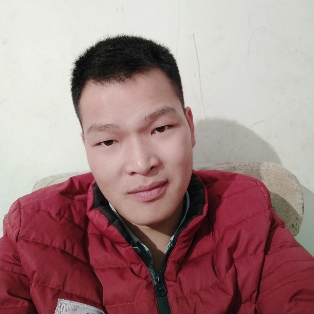 要上天得猪爸爸的照片