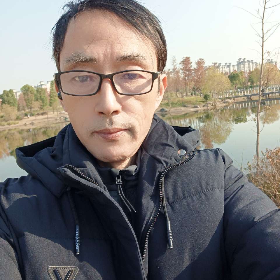 小鸭子回眸黯然的照片