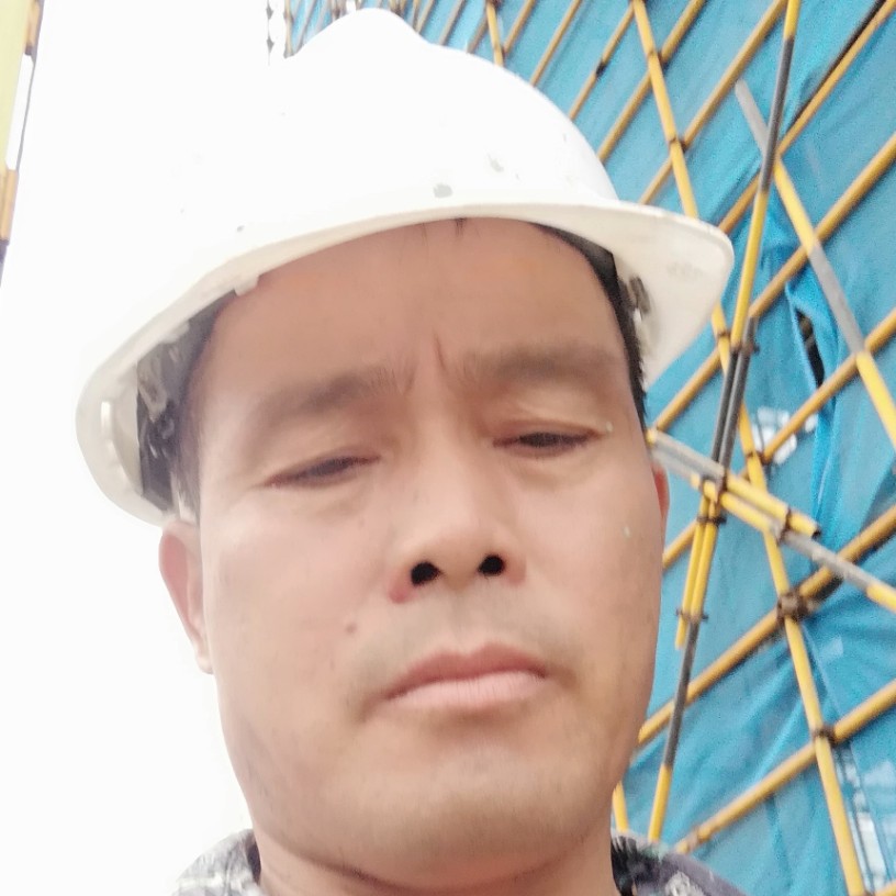 黄蜂用坚定的照片