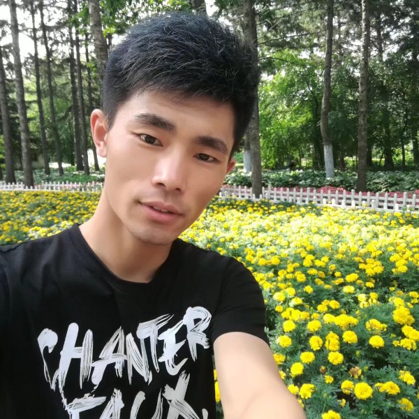 cht会飞的鱼的照片