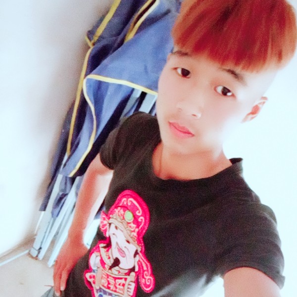 绿茶和明媚的照片