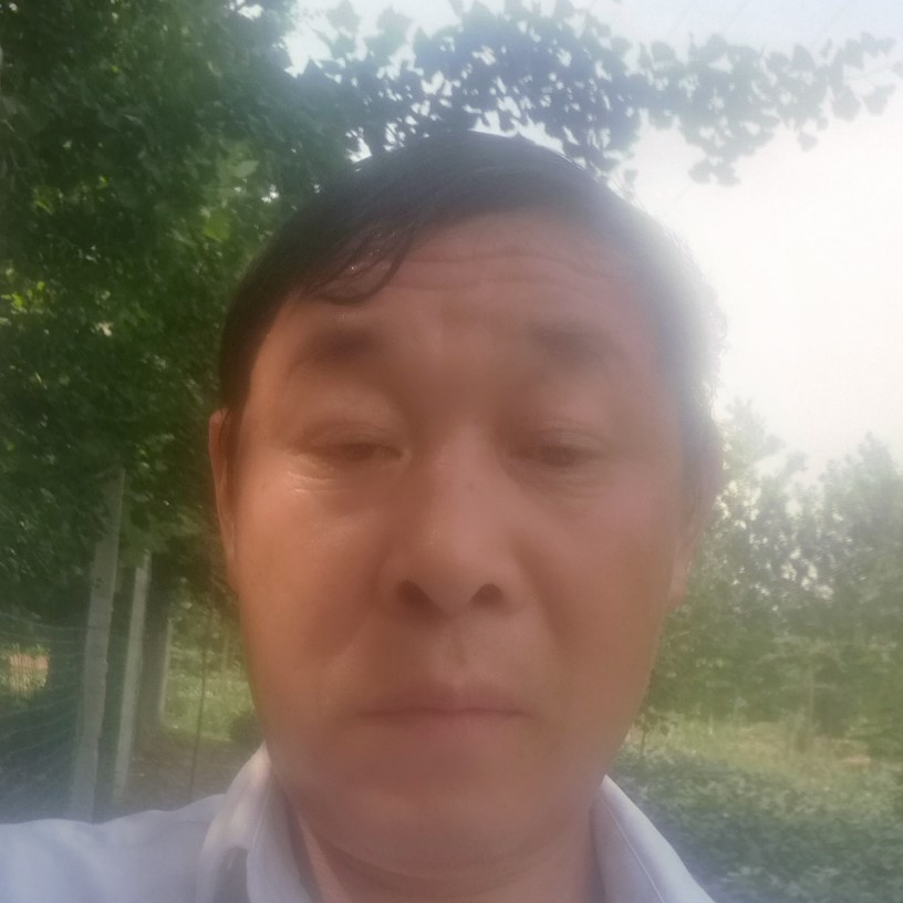 腼腆月饼的照片