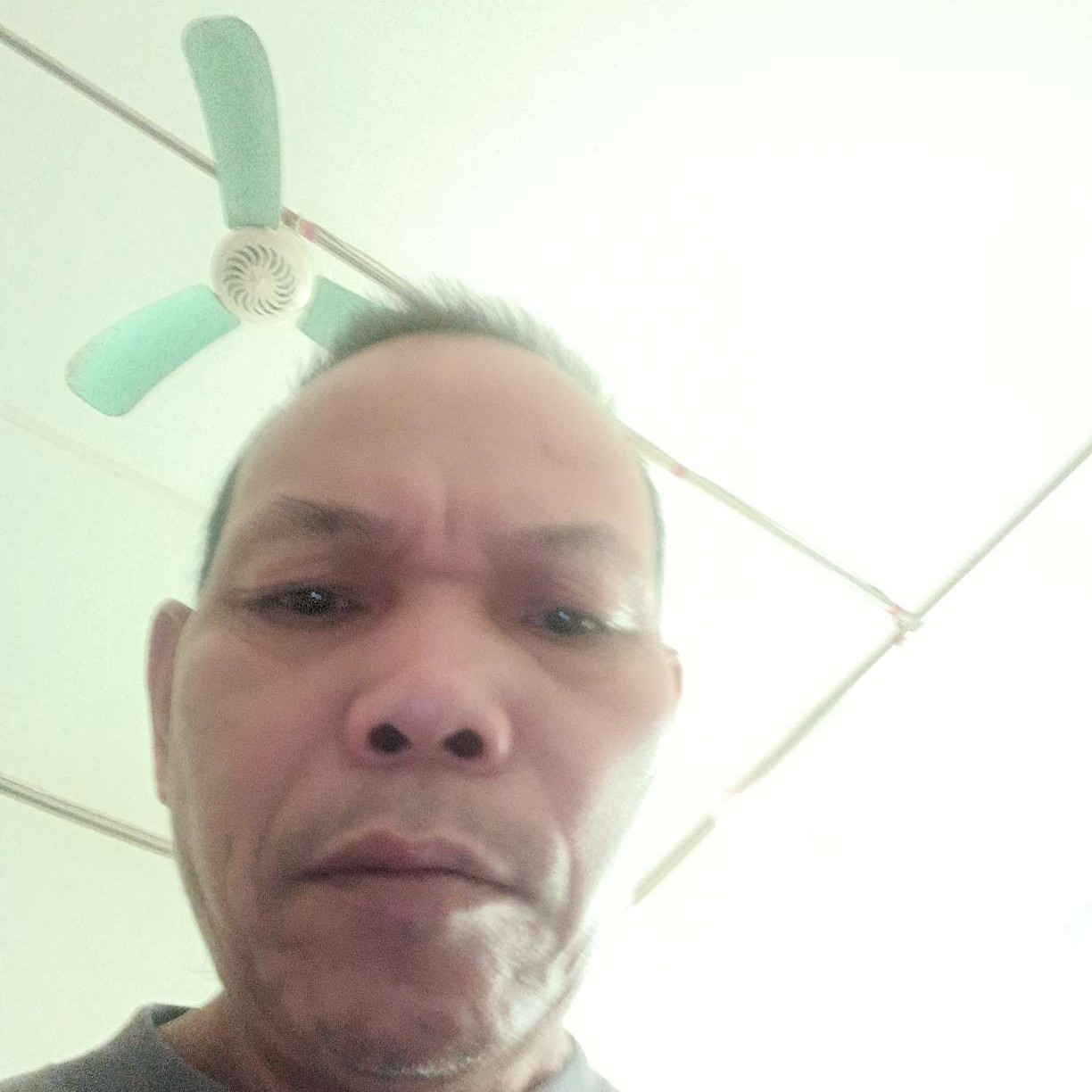 爱笑打南鸢的照片