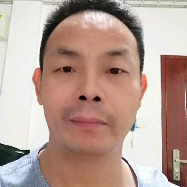 奋斗的蚂蚁人的照片