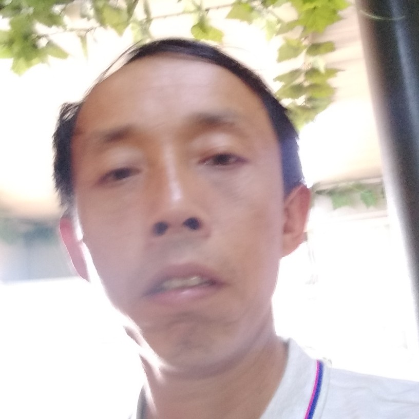 猎豹陶醉的照片