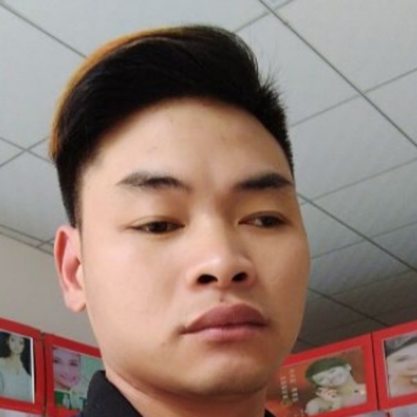 孤独的狼的照片
