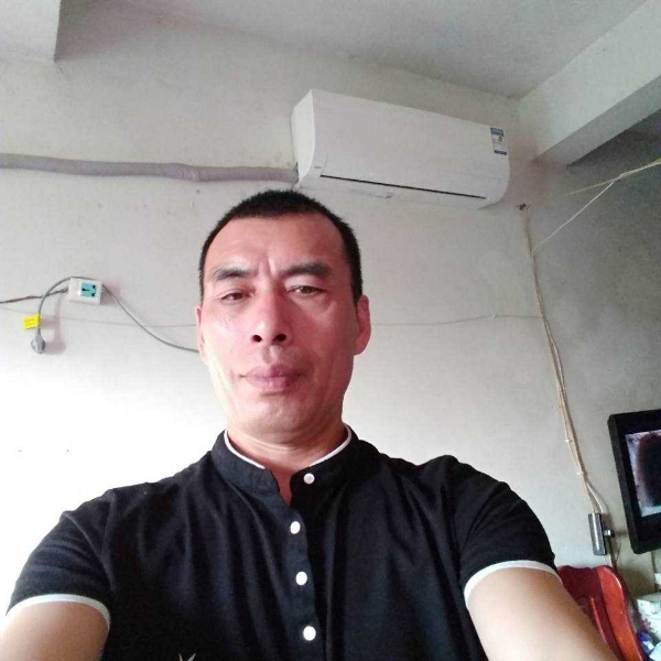生动小懒猪的照片