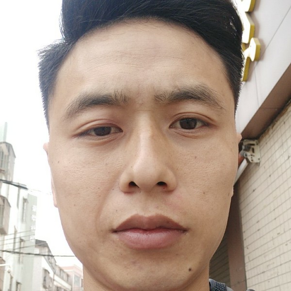 朴素汽车的照片