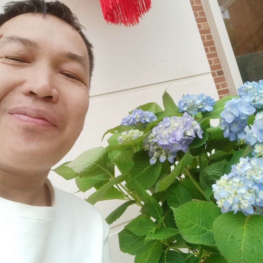 痴情用灰狼的照片